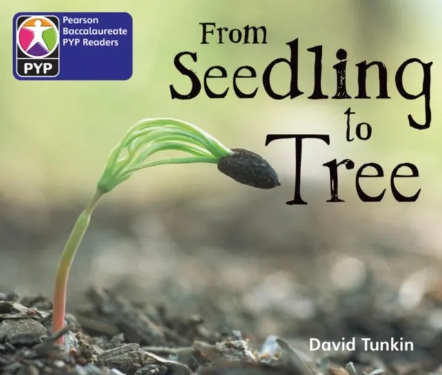 FROM SEEDLING TO TREE 6 PACK-PYP L2