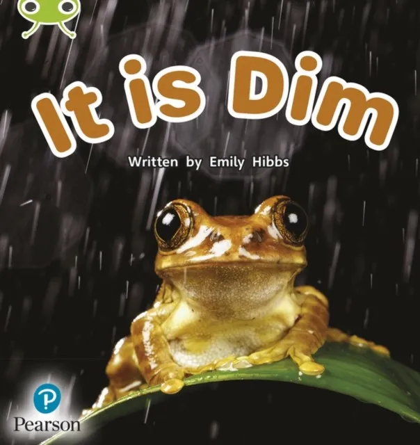 IT IS DIM