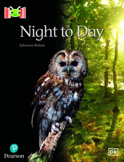 NIGHT TO DAY