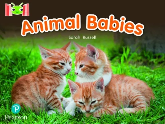 ANIMAL BABIES