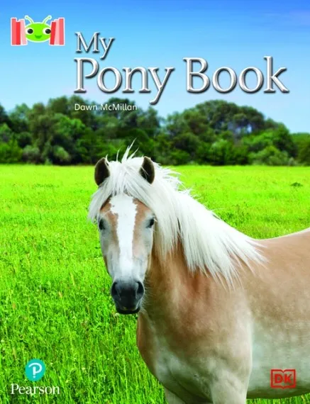 MY PONY BOOK