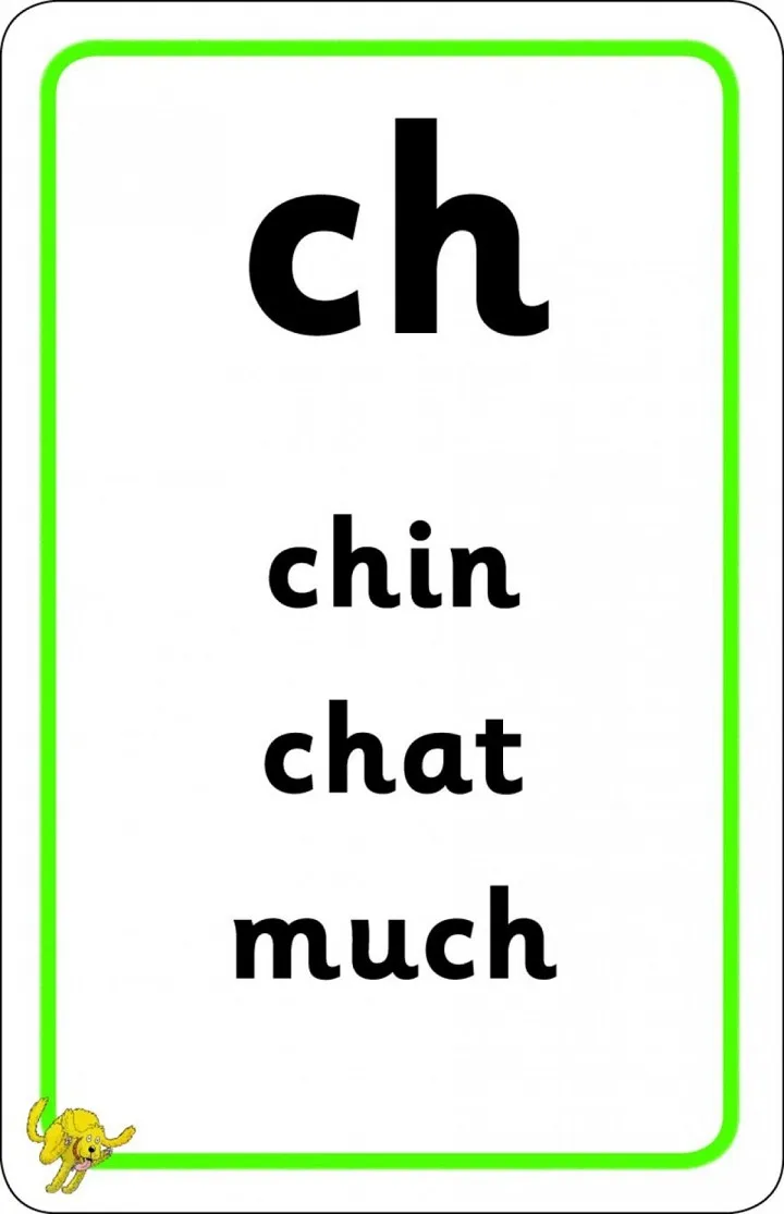 FLOPPY´S PHONICS: SOUNDS AND LETTERS: FLASHCARDS