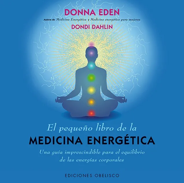 El pequeño libro de la medicina energética