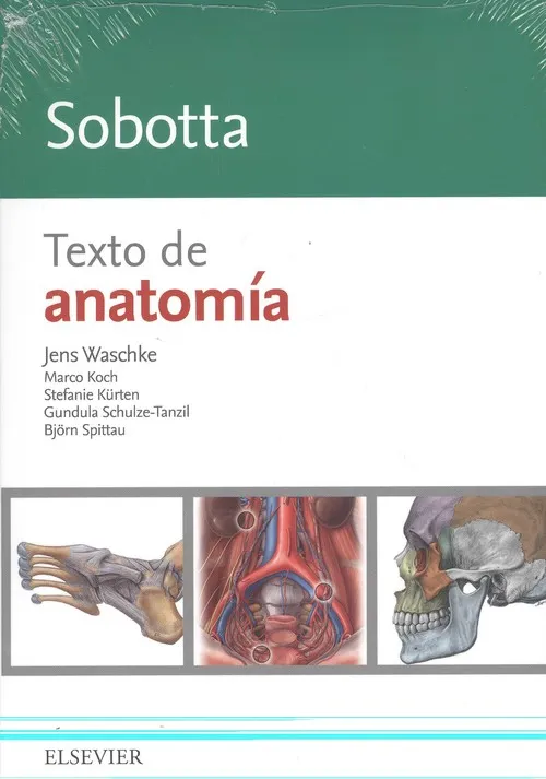 Sobotta. Texto de anatomía