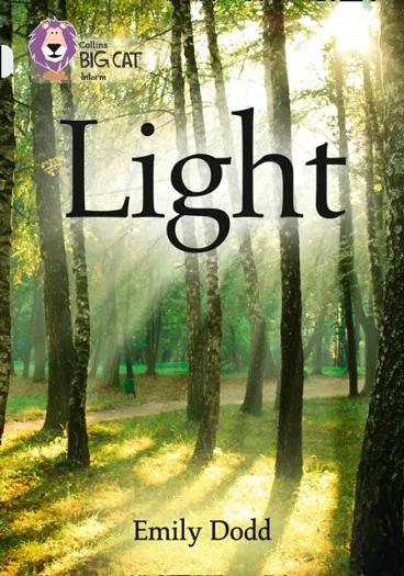 LIGHT -NON-FICTION-DIAMOND - BAND 17