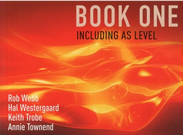 AQA A LEVEL SOCIOLOGY BOOK ONE INCLUDING AS LEVEL : BOOK ONE