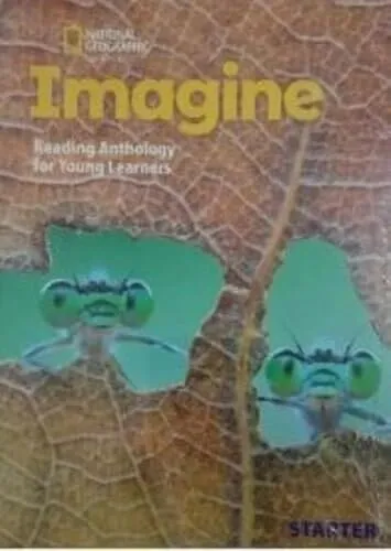 IMAGINE STARTER FLASHCARDS
