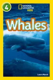 WHALES : LEVEL 4