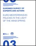 Euromed Survey of Experts and Actors III. Euro-Mediterranean Policies in the Light of the Arab Spring