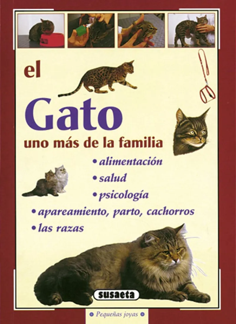 El gato