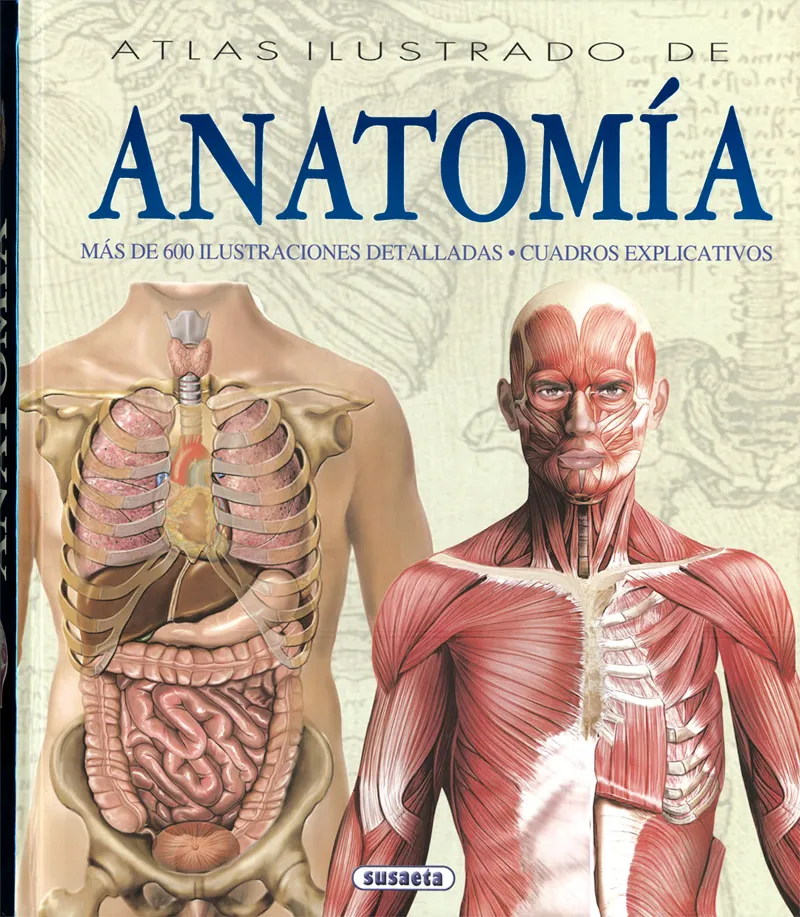 ATLAS ILUSTRADO DE ANATOMIA