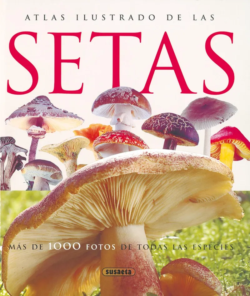 SETAS -ATLAS ILUSTRADO DE-