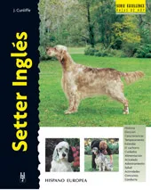 SETTER INGLES