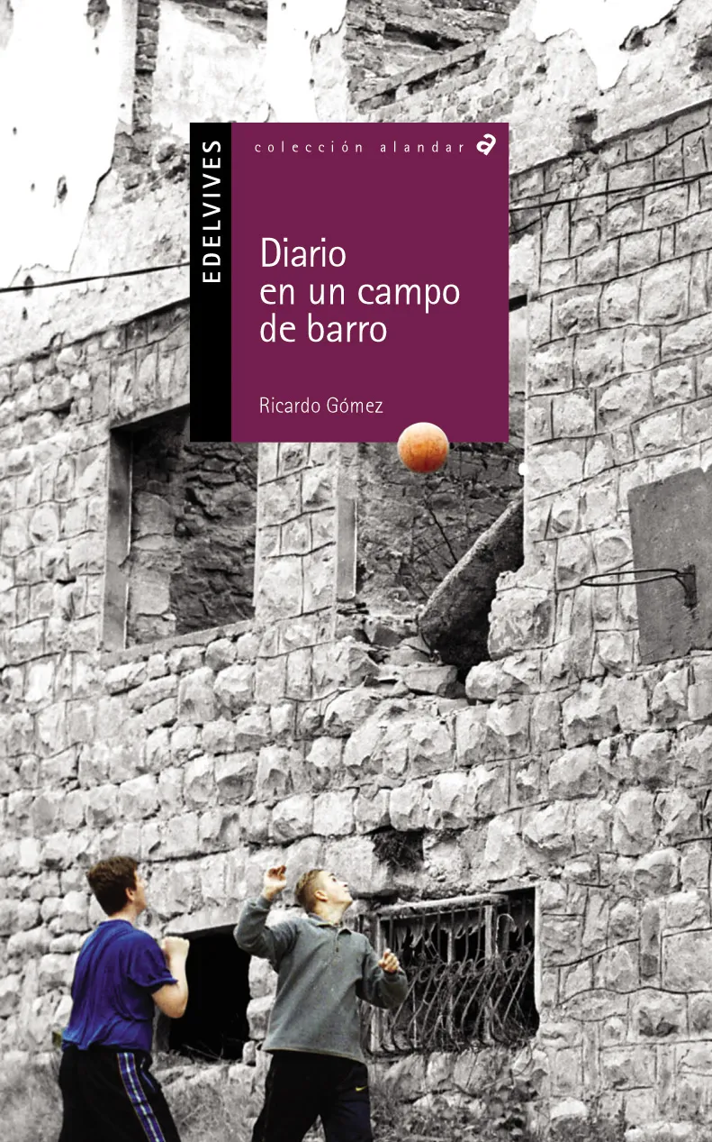 DIARIO EN UN CAMPO DE BARRO (MUNDO CONTEMPORÁNEO)-2
