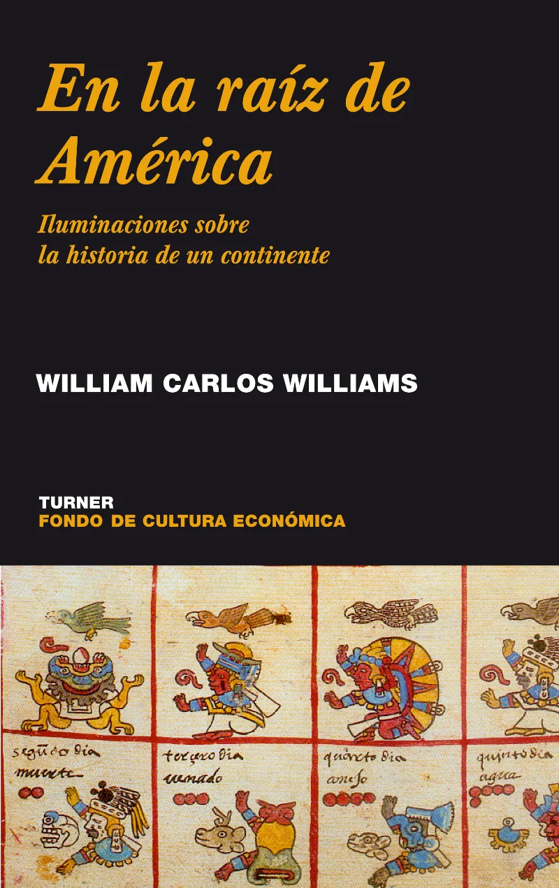 EN LA RAIZ DE AMERICA ILUMINACIONES SOBRE LA HISTO