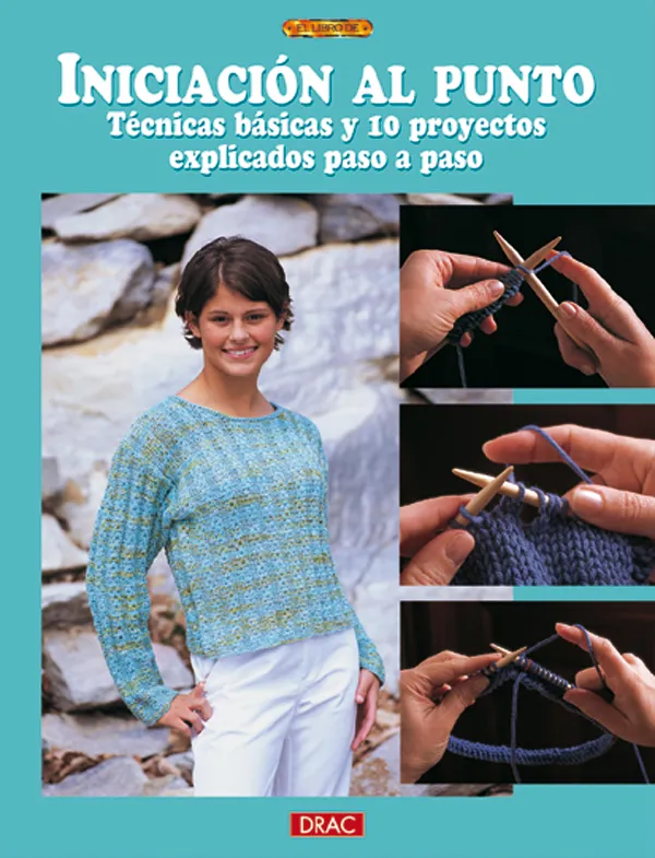 INICIACION AL PUNTO. TECNICAS BASICAS Y 10 PROYECTOS EXPLICADOS PASO A PASO