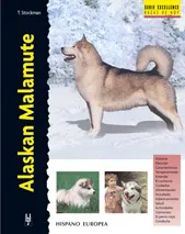 ALASKAN MALAMUTE