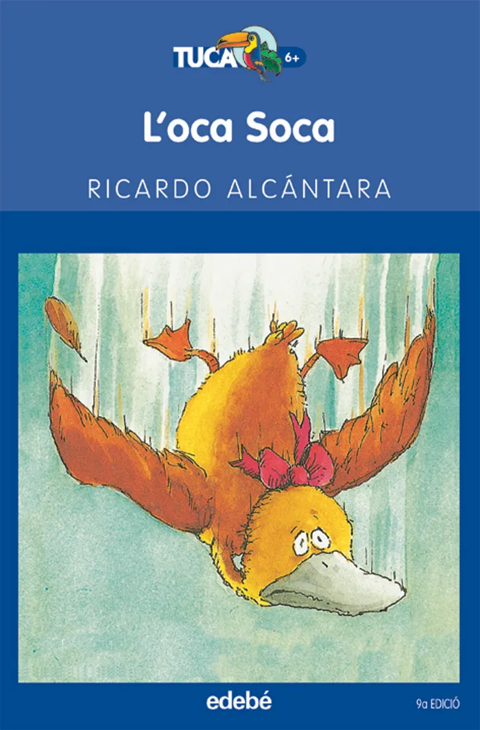 L’OCA SOCA