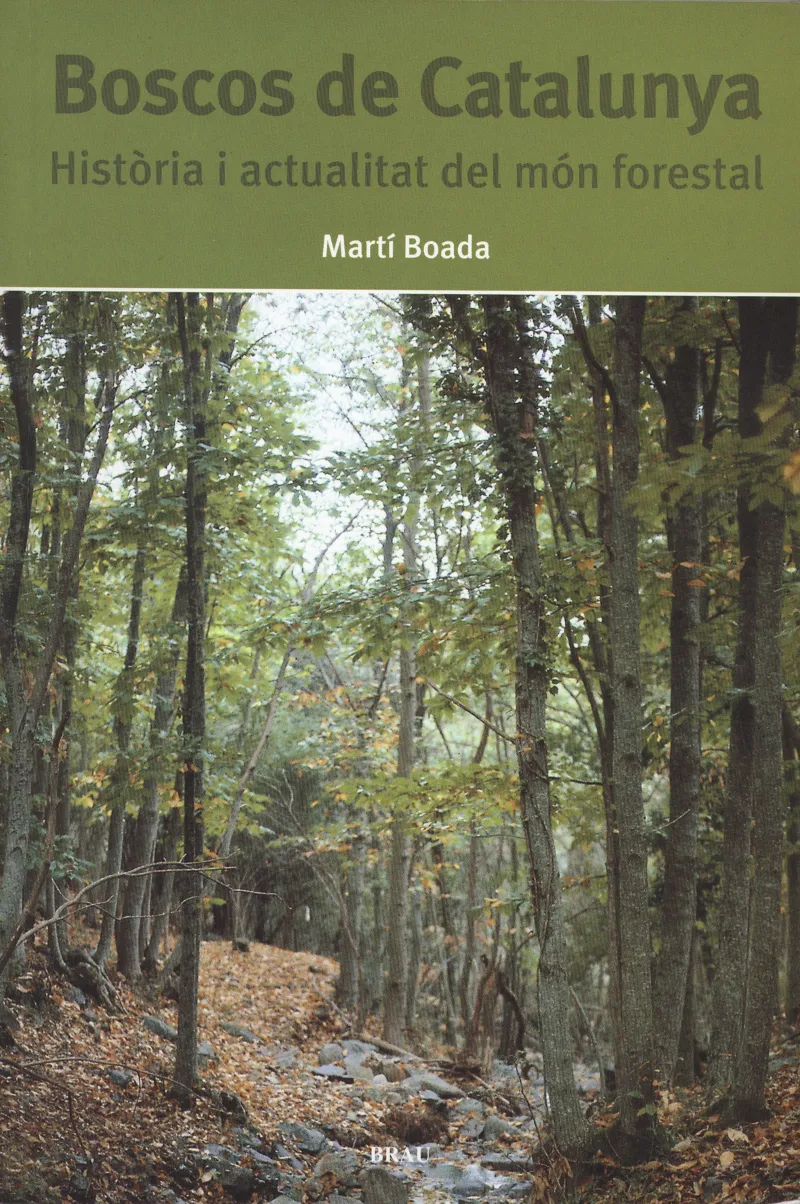 Boscos de Catalunya