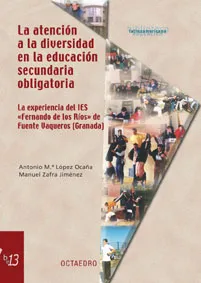 ATENCION A LA DIVERSIDAD EN LA EDUCACION SECUNDARI