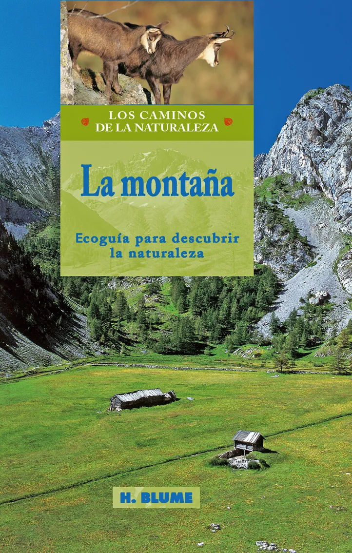 MONTAÑA,LA-NO ES POT TORNAR-