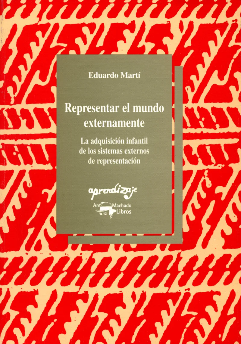 REPRESENTAR EL MUNDO EXTERNAMENTE