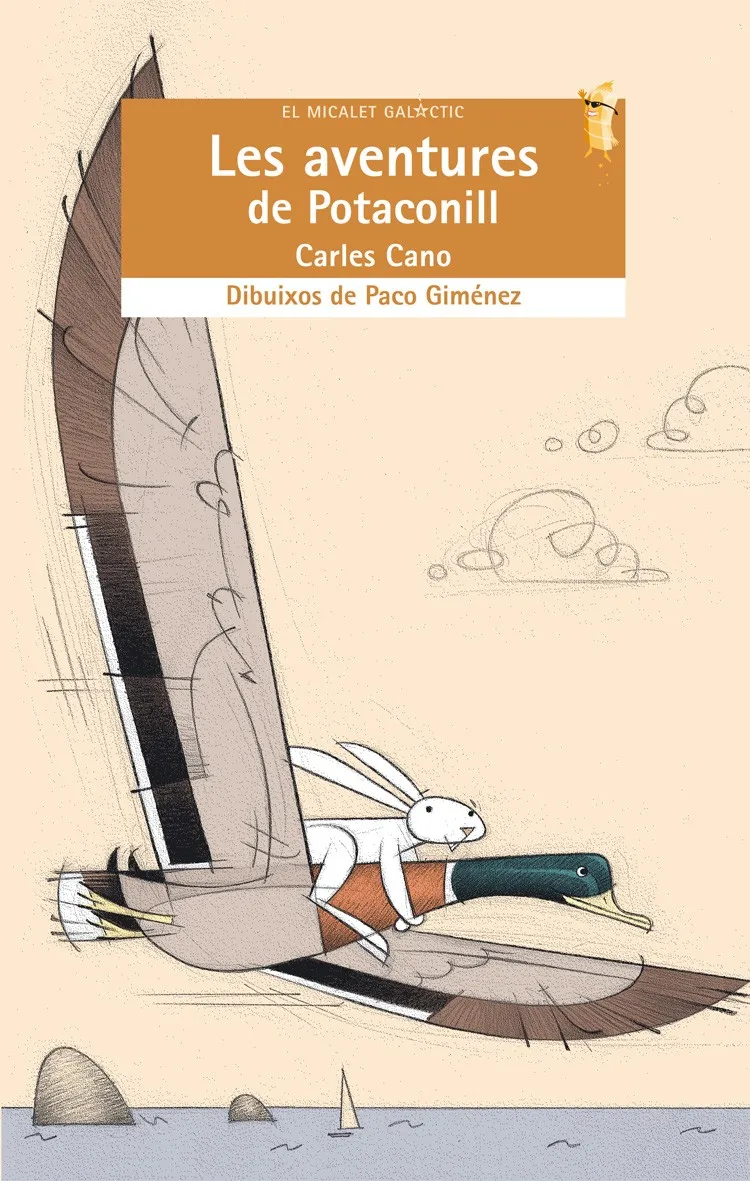 AVENTURES DE POTACONILL,LES