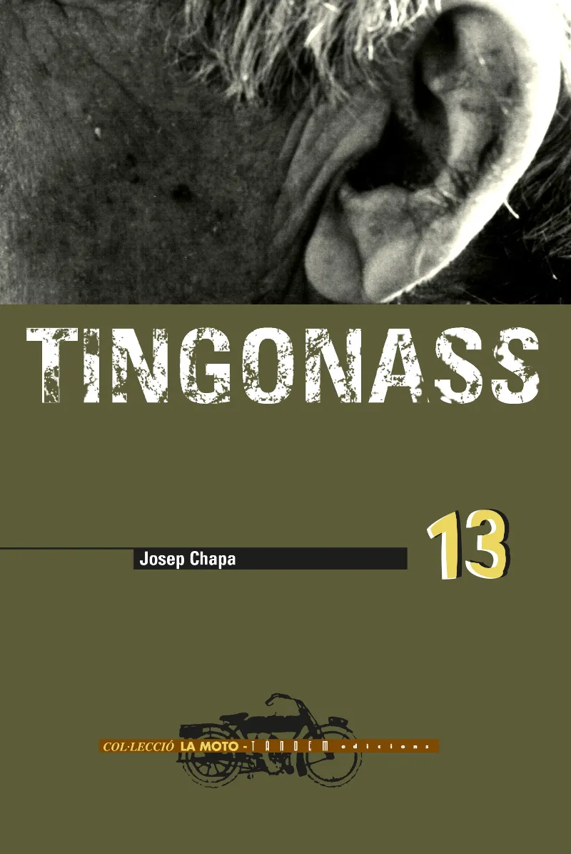TINGONASS