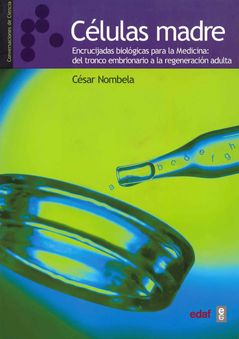 CELULAS MADRE