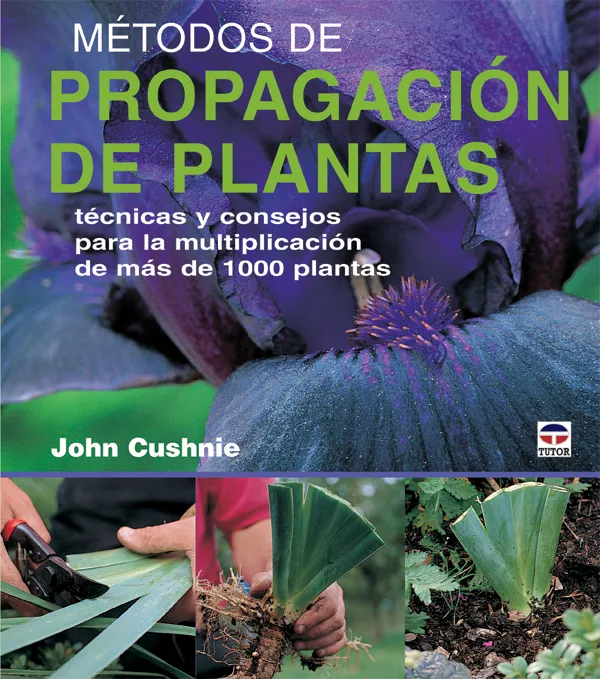 METODOS DE PROPAGACION DE PLANTAS