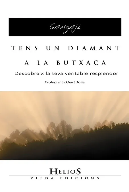 TENS UN DIAMANT A LA BUTXACA
