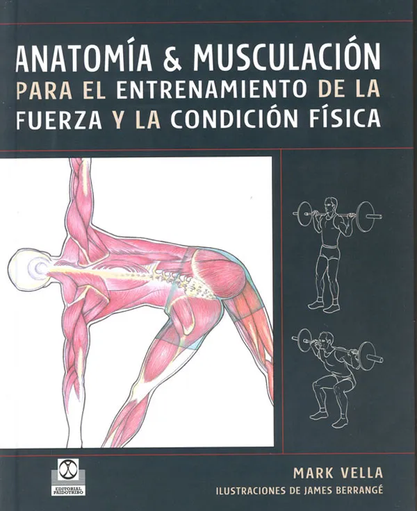 ANATOMIA & MUSCULACION PARA EL ENTRENAMIENTO