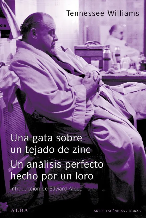 GATA SOBRE UN TEJADO DE ZINC/UN ANALISIS PERFECTO