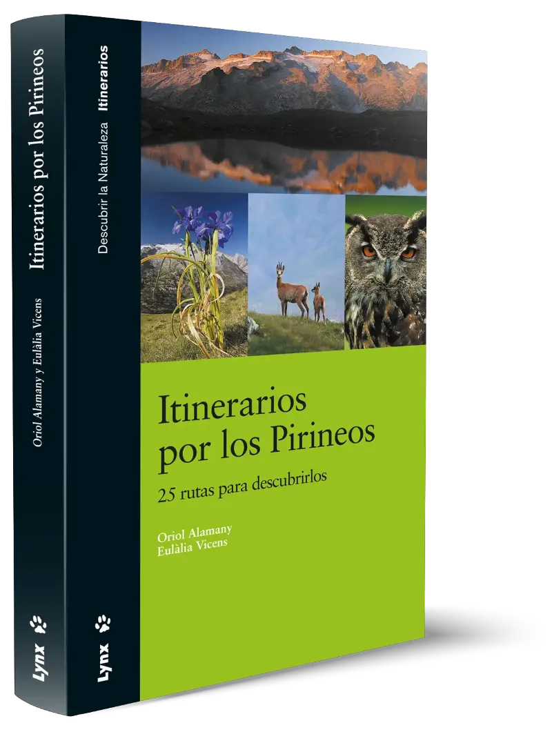 ITINERARIOS POR LOS PIRINEOS