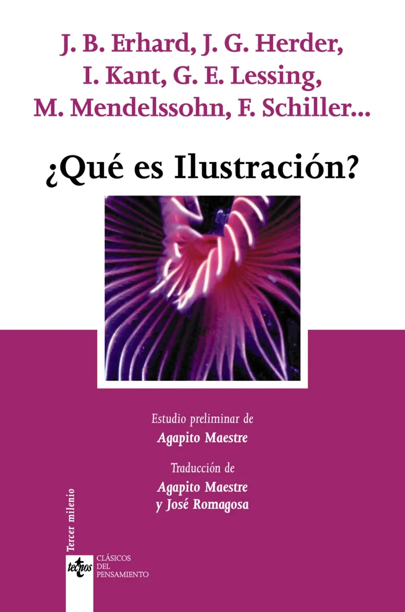 QUE ES LA ILUSTRACION