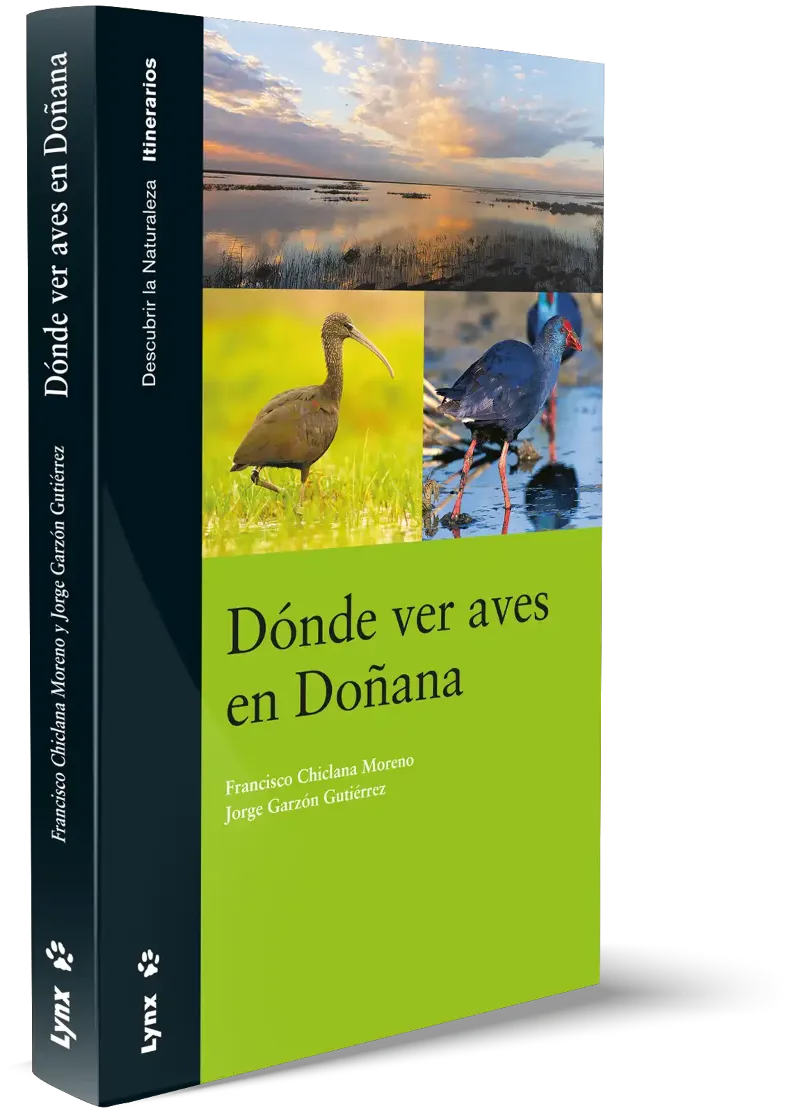 DONDE VER AVES EN DOÑANA