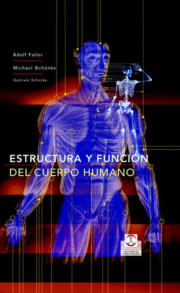 ESTRUCTURA Y FUNCION DEL CUERPO HUMANO