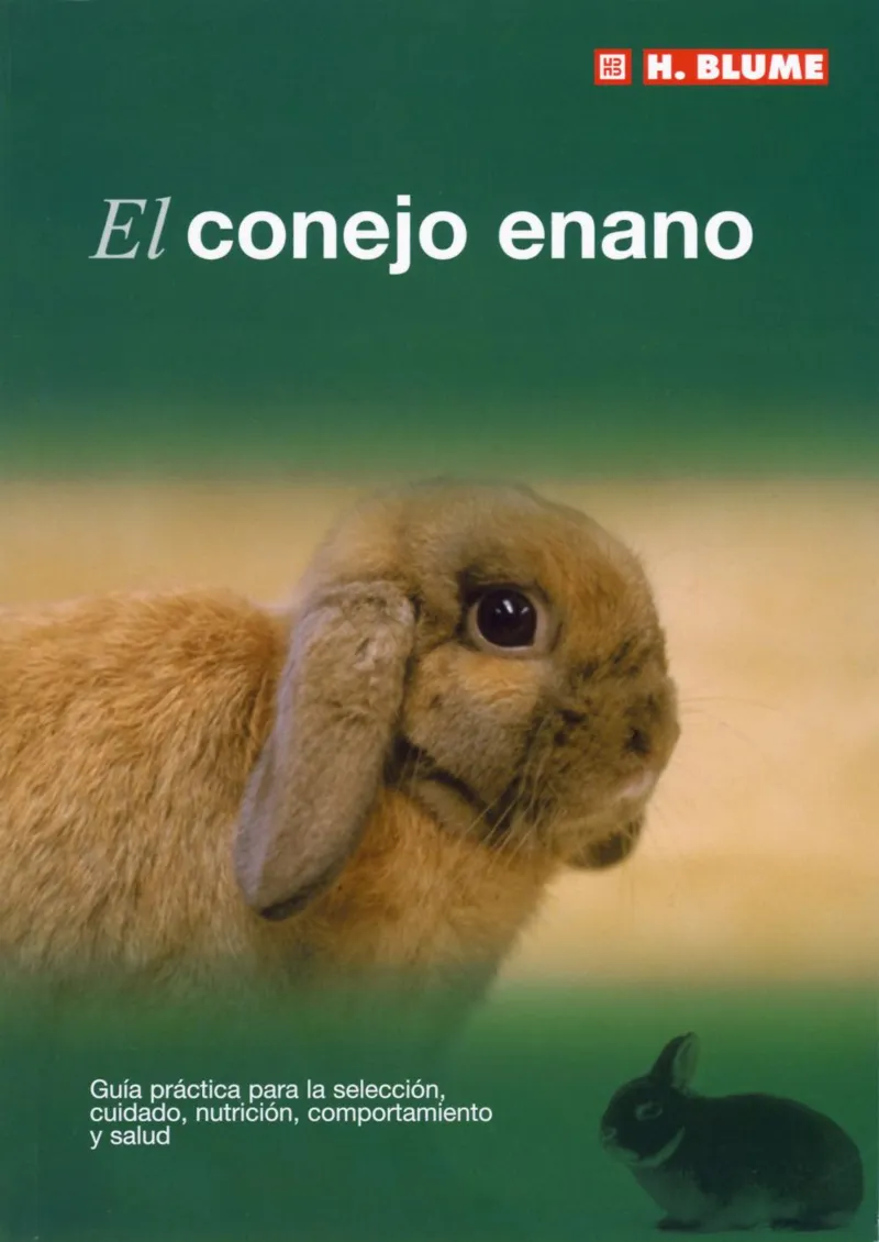 CONEJO ENANO,EL