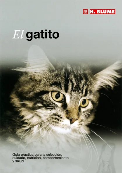 GATITO,EL