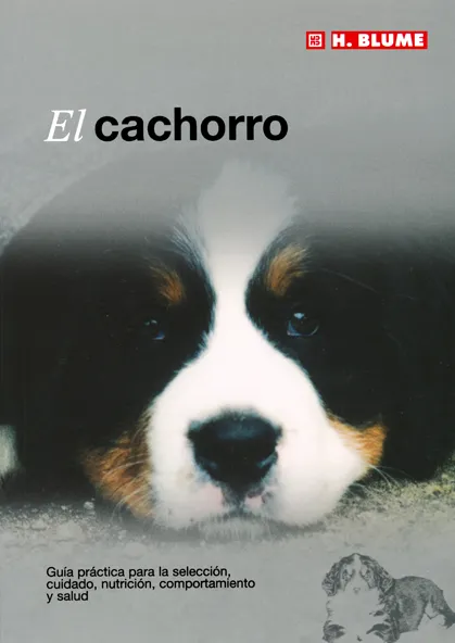 CACHORRO,EL