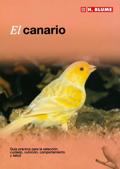 CANARIO,EL