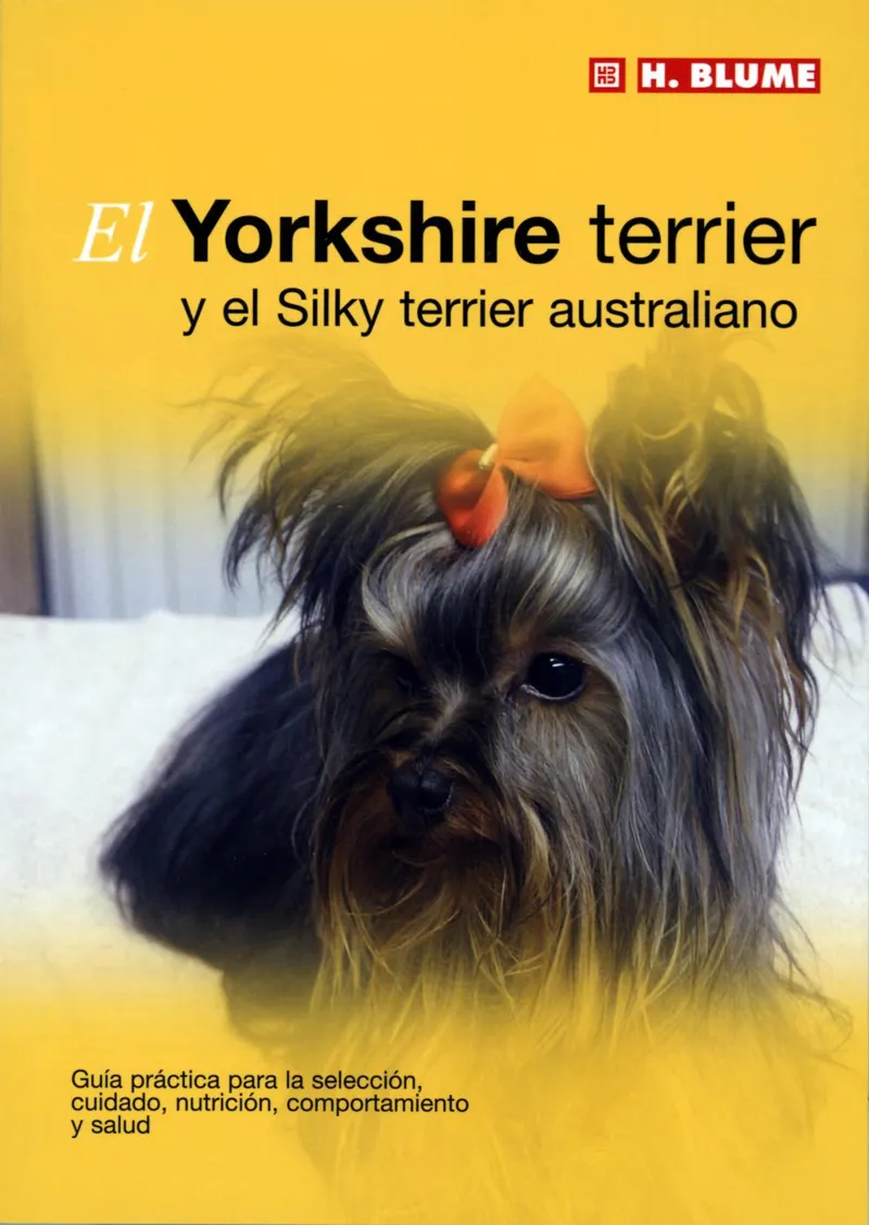 YORKSHIRE TERRIER Y EL SILKY TERRIER AUSTRALIANO,