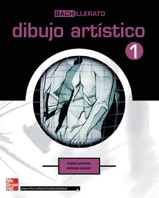DIBUJO ARTISTICO 1 BACHIL