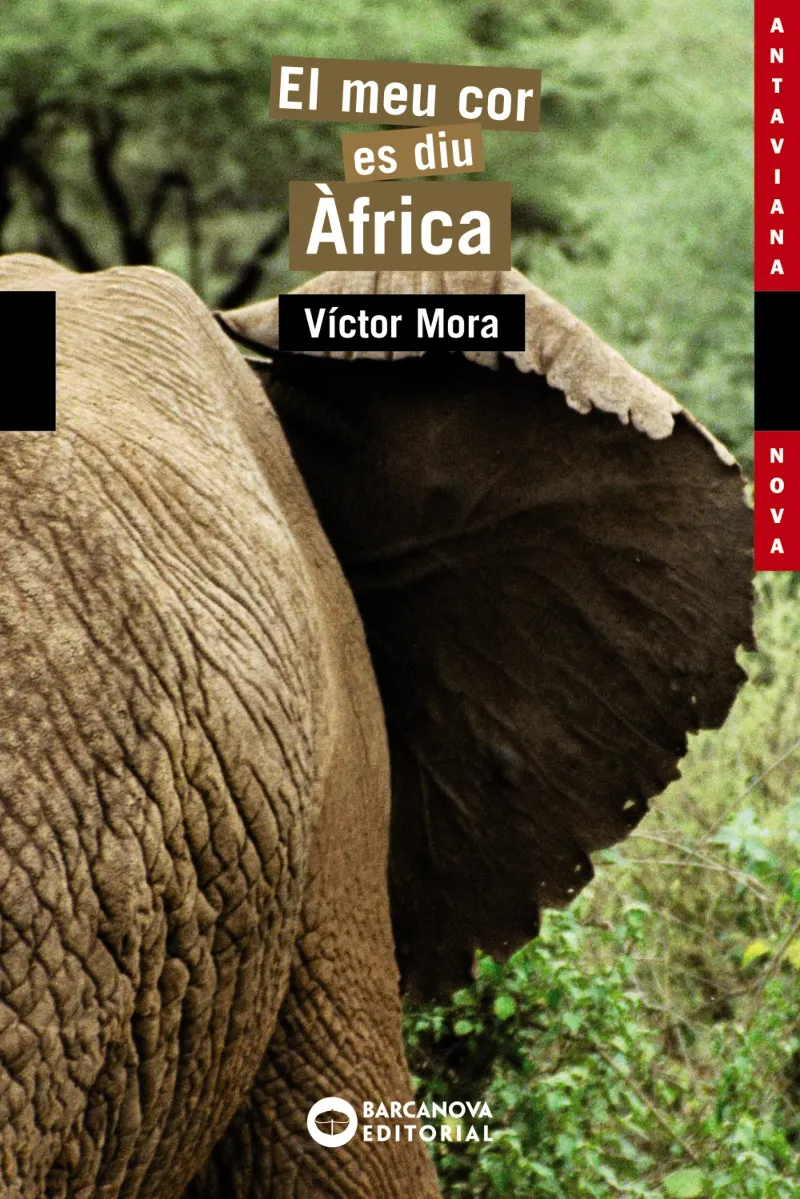 MEU COR ES DIU AFRICA,EL