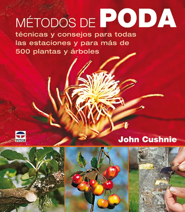 METODOS DE PODA