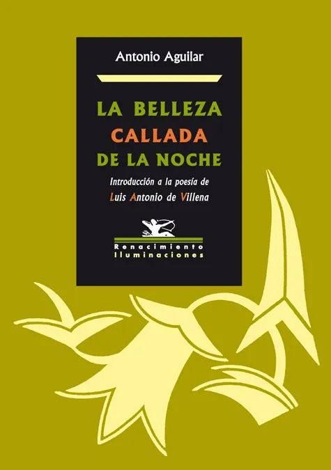 BELLEZA CALLADA DE LA NOCHE,LA