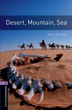 DESERT, MOUNTAIN, SEA, ED 08 BOOKWORMS 4 B1/B2