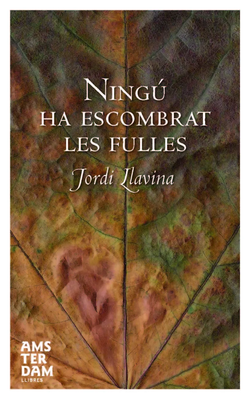 Ningú ha escombrat les fulles