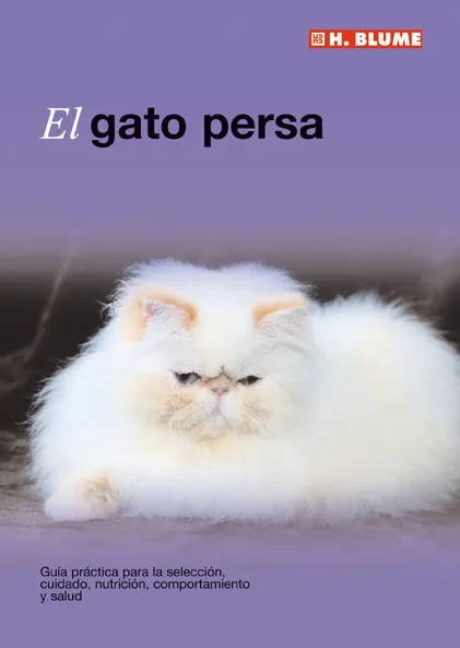GATO PERSA,EL