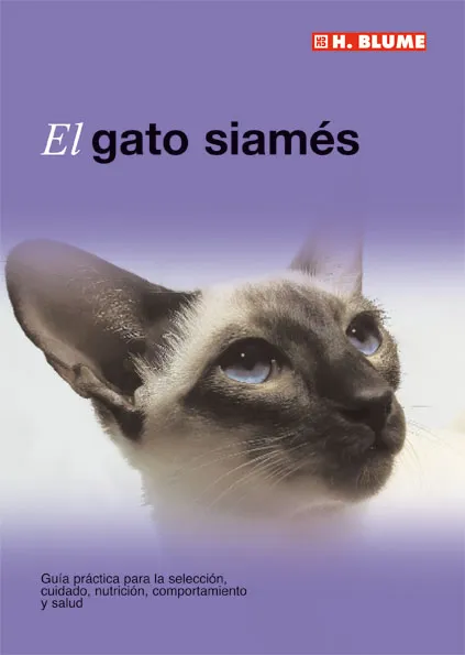GATO SIAMES,EL